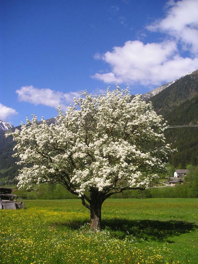 Muellerhof Villa Anterselva di Mezzo Buitenkant foto