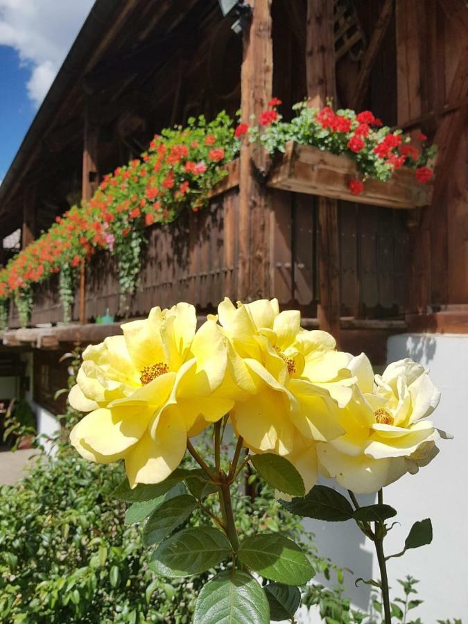 Muellerhof Villa Anterselva di Mezzo Buitenkant foto
